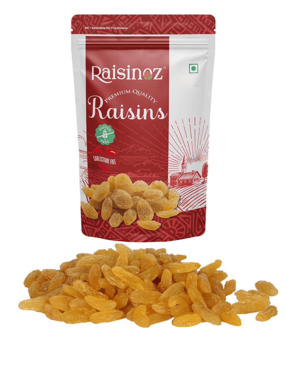 Raisinos Premium Seedless Raisins 500g | 100% Natural | Dried Grapes | Kishmish | Nutritious | Value Pack | Vegan